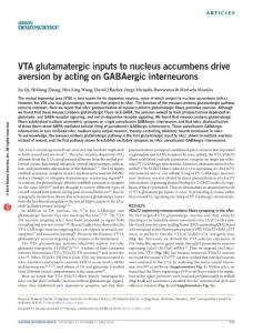 nn.4281-VTA glutamatergic inputs to nucleus accumbens drive aversion by acting on GABAergic interneurons