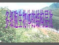 多细胞生物体的结构层次