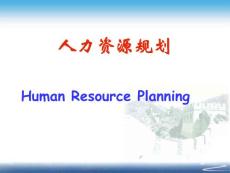 人力资源规划（范例版）