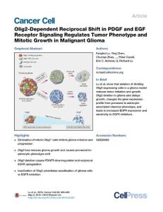Cancer Cell-2016-Olig2-Dependent Reciprocal Shift in PDGF and EGF Receptor Signaling Regulates Tumor Phenotype and Mitotic Growth in Malignant Glioma