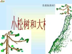 [ 一年级语文课件]小松树和大松树3(苏教版)