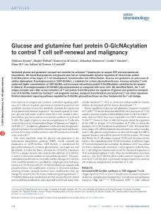 ni.3439-Glucose and glutamine fuel protein O-GlcNAcylation to control T cell self-renewal and malignancy