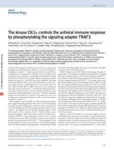 ni.3395-The kinase CK1ε controls the antiviral immune response by phosphorylating the signaling adaptor TRAF3