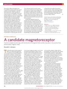nmat4550-Protein complexes A candidate magnetoreceptor