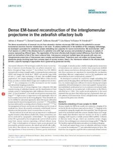 nn.4290-Dense EM-based reconstruction of the interglomerular projectome in the zebrafish olfactory bulb