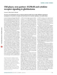 nn.4302-Old player, new partner- EGFRvIII and cytokine receptor signaling in glioblastoma