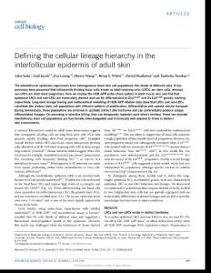ncb3359-Defining the cellular lineage hierarchy in the interfollicular epidermis of adult skin