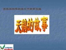 苏教版四年级语文下册《天鹅的故事 2》PPT课件