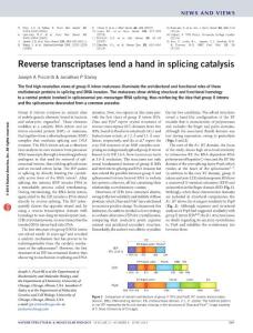 nsmb.3242-Reverse transcriptases lend a hand in splicing catalysis