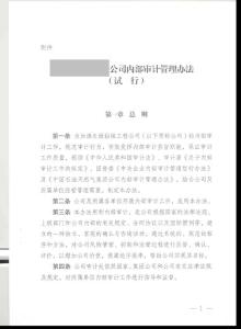 内部审计管理办法