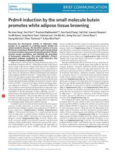 nchembio.2081-Prdm4 induction by the small molecule butein promotes white adipose tissue browning -