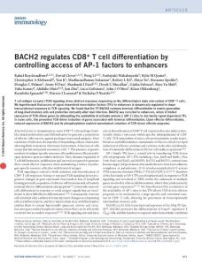 ni.3441-BACH2 regulates CD8+ T cell differentiation by controlling access of AP-1 factors to enhancers