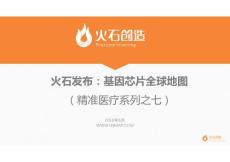 火石发布-基因芯片全球地图研究报告