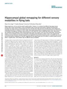 nn.4310-Hippocampal global remapping for different sensory modalities in flying bats