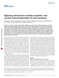 nn.4313-Opposing mechanisms mediate morphine- and cocaine-induced generation of silent synapses