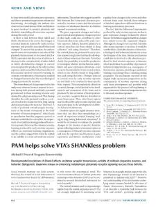 nn.4336-PAM helps solve VTA´s SHANKless problem