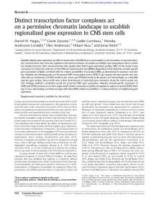 Genome Res.-2016-Hagey-908-17-Distinct transcription factor complexes act on a permissive chromatin landscape to establish regionalized gene expression in CNS stem cells