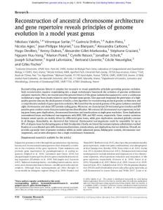 Genome Res.-2016-Vakirlis-918-32-Reconstruction of ancestral chromosome architecture and gene repertoire reveals principles of genome evolution in a model yeast genus
