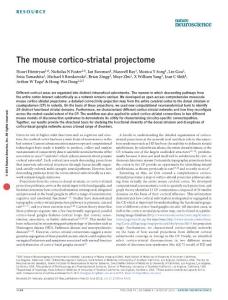 nn.4332-The mouse cortico-striatal projectome