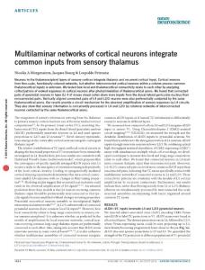 nn.4339-Multilaminar networks of cortical neurons integrate common inputs from sensory thalamus