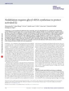 nsmb.3250-Neddylation requires glycyl-tRNA synthetase to protect activated E2