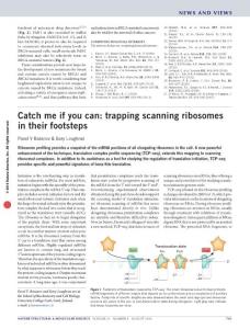 nsmb.3256-Catch me if you can- trapping scanning ribosomes in their footsteps