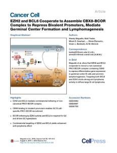 Cancer Cell-2016-EZH2 and BCL6 Cooperate to Assemble CBX8-BCOR Complex to Repress Bivalent Promoters, Mediate Germinal Center Formation and Lymphomagenesis