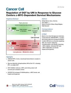 Cancer Cell-2016-Regulation of OGT by URI in Response to Glucose Confers c-MYC-Dependent Survival Mechanisms