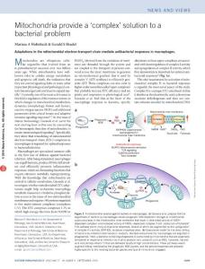 ni.3534-Mitochondria provide a ´complex´ solution to a bacterial problem