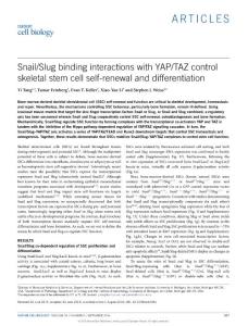 ncb3394-Snail-Slug binding interactions with YAP-TAZ control skeletal stem cell self-renewal and differentiation