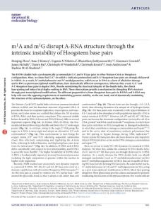 nsmb.3270-m1A and m1G disrupt A-RNA structure through the intrinsic instability of Hoogsteen base pairs