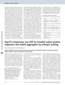 nsmb.3283-Hsp70 chaperones use ATP to remodel native protein oligomers and stable aggregates by entropic pulling