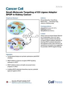 Cancer Cell-2016-Small-Molecule Targeting of E3 Ligase Adaptor SPOP in Kidney Cancer