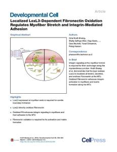 Developmental Cell-2016-Localized LoxL3-Dependent Fibronectin Oxidation Regulates Myofiber Stretch and Integrin-Mediated Adhesion