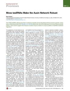 Developmental Cell-2016-Moss tasiRNAs Make the Auxin Network Robust