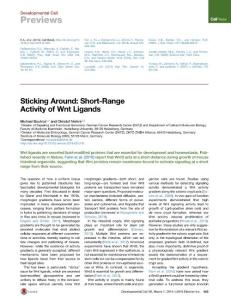 Developmental Cell-2016-Sticking Around- Short-Range Activity of Wnt Ligands