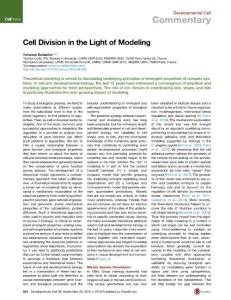 Developmental-Cell_2016_Cell-Division-in-the-Light-of-Modeling