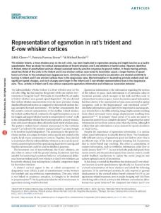 nn.4363-Representation of egomotion in rat´s trident and E-row whisker cortices
