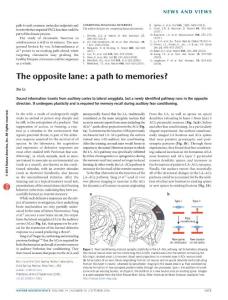 nn.4381-The opposite lane- a path to memories?