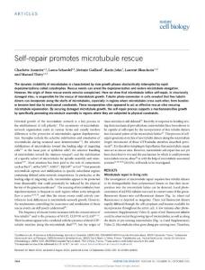 ncb3406-Self-repair promotes microtubule rescue