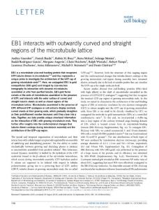 ncb3412-EB1 interacts with outwardly curved and straight regions of the microtubule lattice