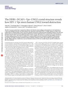nsmb.3284-The DDB1–DCAF1–Vpr–UNG2 crystal structure reveals how HIV-1 Vpr steers human UNG2 toward destruction