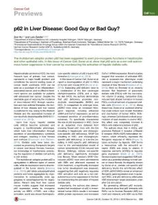 Cancer Cell-2016-p62 in Liver Disease- Good Guy or Bad Guy?