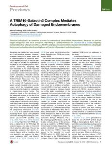 Developmental Cell-2016-A TRIM16-Galactin3 Complex Mediates Autophagy of Damaged Endomembranes