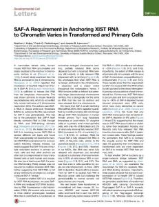 Developmental Cell-2016-SAF-A Requirement in Anchoring XIST RNA to Chromatin Varies in Transformed and Primary Cells