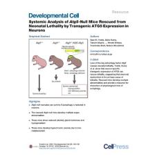 Developmental Cell-2016-Systemic Analysis of Atg5-Null Mice Rescued from Neonatal Lethality by Transgenic ATG5 Expression in Neurons