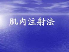 肌内注射法