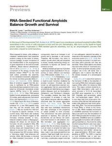 Developmental Cell-2016-RNA-Seeded Functional Amyloids Balance Growth and Survival