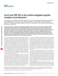 nn.4346-Ucn3 and CRF-R2 in the medial amygdala regulate complex social dynamics