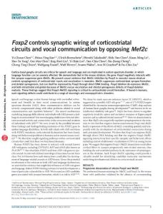 nn.4380-Foxp2 controls synaptic wiring of corticostriatal circuits and vocal communication by opposing Mef2c